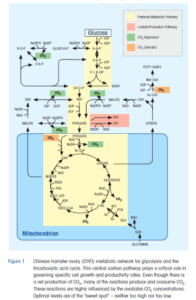 Dissolved Co2 Measurement In Cell Culture: Integrating Inline Co2 Sensor