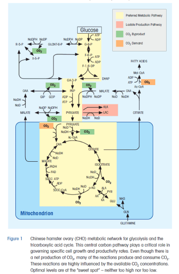 Dissolved CO2 Measurement in Cell Culture: Integrating Inline CO2 Sensor